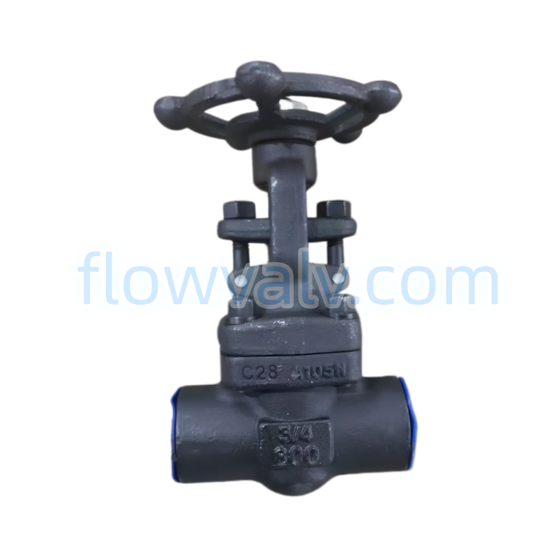 2-API602 Forged Steel A105 Gate Valve=最终