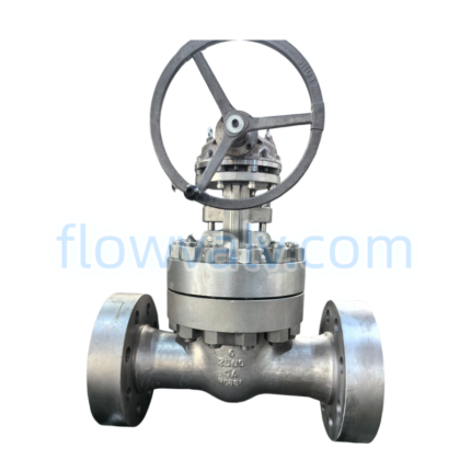 Cast Super Duplex Steel SDSS 5A 2500LB Gate Valve for Sea Water